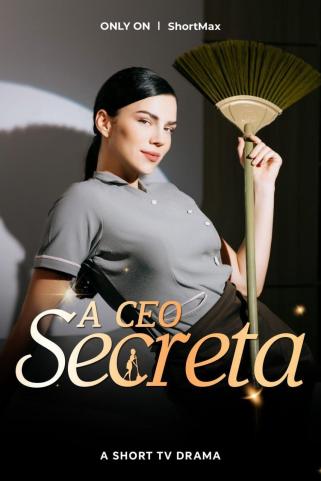  A CEO SECRETA